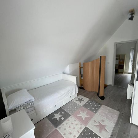 Modern House Close To Basel, Freiburg, Mulhouse, Europa-Park Villa Chalampe Exteriör bild